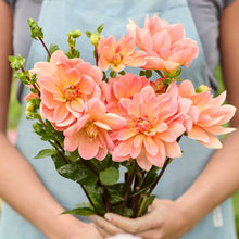 Person holding an orange bouquet of mister frans dahlia flowers in a garden setting