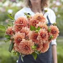 A person holding a bouquet of Nicholas dahlia flowers in a garden setting.