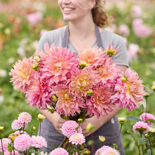 Person holding a pink bouquet of omega dahlia flowers in a garden setting