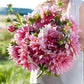 dahlia ottos thrill