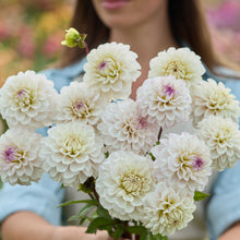 Person holding a pale yellow bouquet of pencil art sugar dahlia flowers in a garden setting