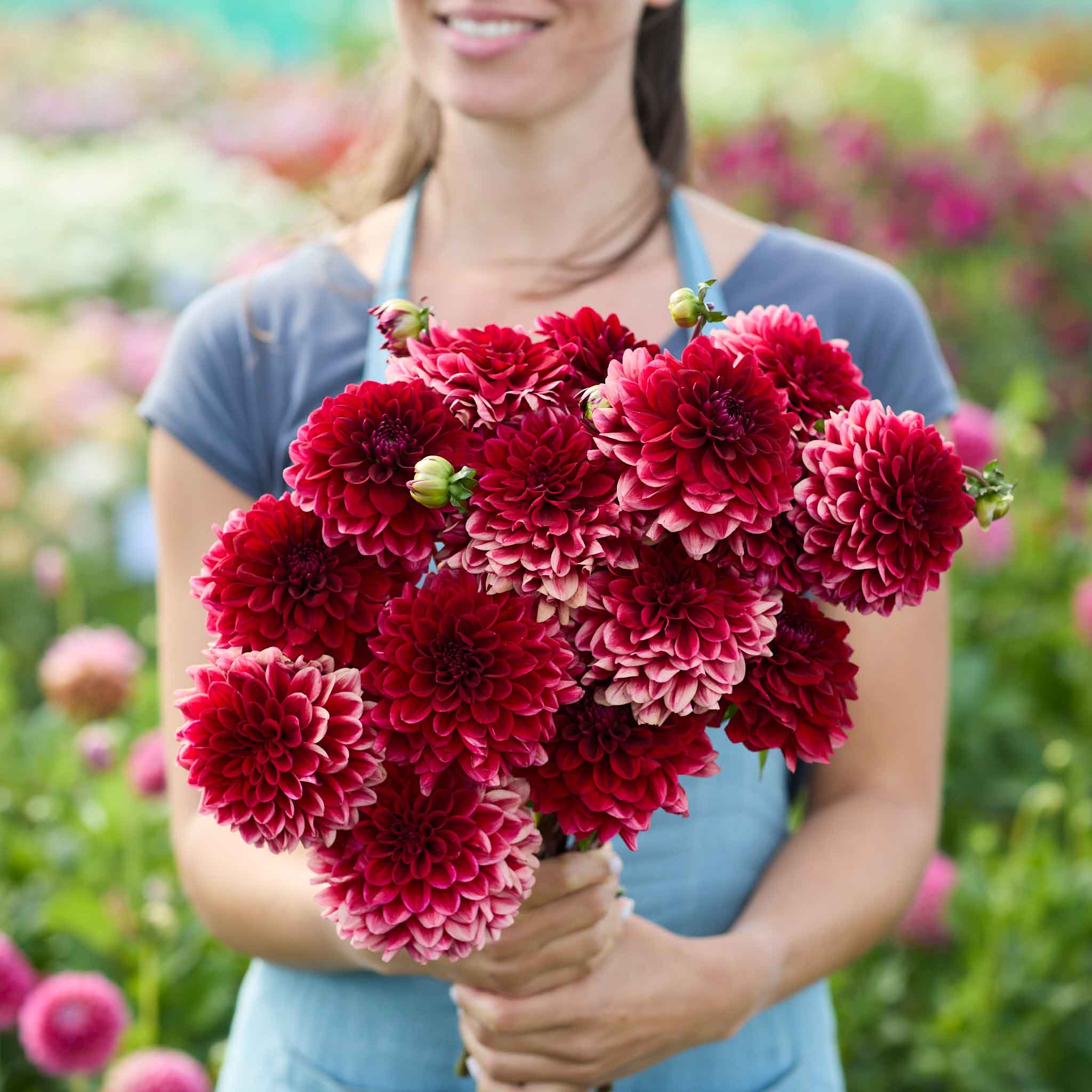 A person holding a Red Runner dahlia bouquet in a garden setting