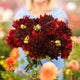 Dahlia Tubers (Decorative) - Rip City