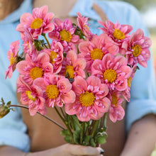 Person holding a pink bouquet of strawberry bon bon flowers in a garden setting