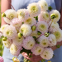 Person holding a yellow bouquet of wizard of lightning dahlia flowers in a garden setting