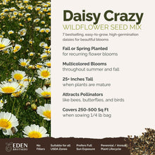 A visual overview of the wildflower seed mix, showcasing expected floral blooms.