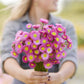 Person holding a bouquet of paper daisy brilliant rose flowers in a garden setting