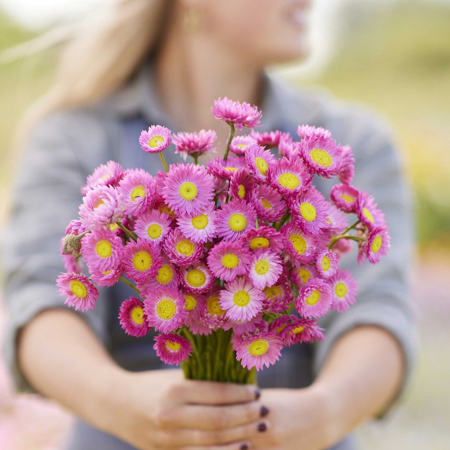 Person holding a bouquet of paper daisy brilliant rose flowers in a garden setting