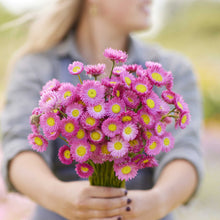 Person holding a bouquet of paper daisy brilliant rose flowers in a garden setting