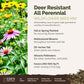 deer resistant all perennial overview