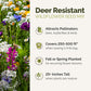 Deer resistant wildflower seed mix with benefits listed on a white background