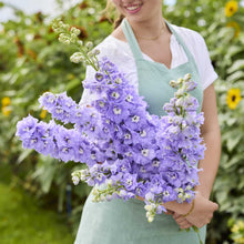 Person holding a bouquet of delphinium aurora lavender flowers in a garden setting