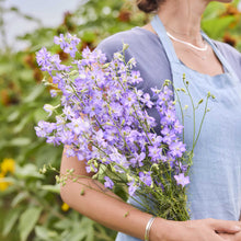 A person in a blue apron holds a large bouquet of fancy purple picotee delphinium flowers in a garden with blurred green foliage in the background.