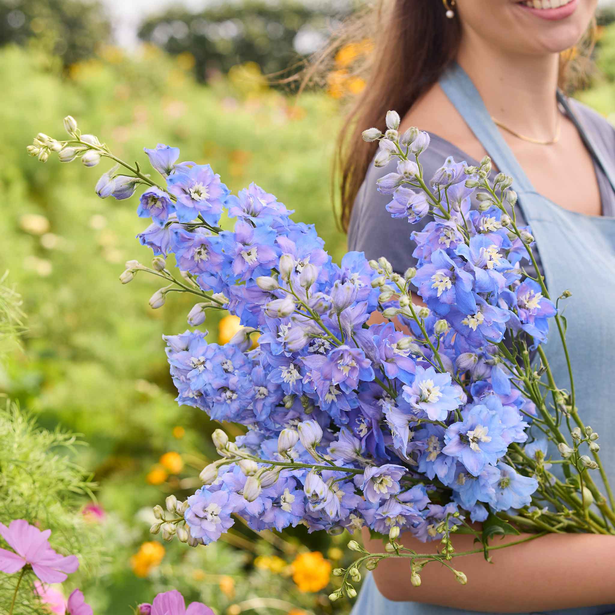 Woman holding a bouquet of sky blue white bee delphina flowers in a field with greenery and flowers in the background
