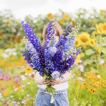 Person holding a bouquet of delphinium pacific mix flowers in a garden setting