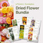 Graphic of dried flower bundle pack displaying a product image and contents of the bundle.
