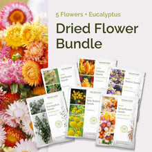 Graphic of dried flower bundle pack displaying a product image and contents of the bundle.