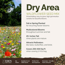 A visual overview of the wildflower seed mix, showcasing expected floral blooms.