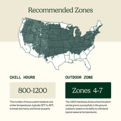 A USDA hardiness zone map of the United States with labeled patio and outdoor zones, showing a light teal map on a beige background with explanatory text blocks below.