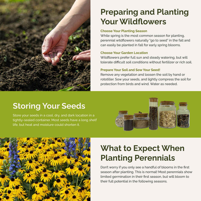 dynamic duo planting