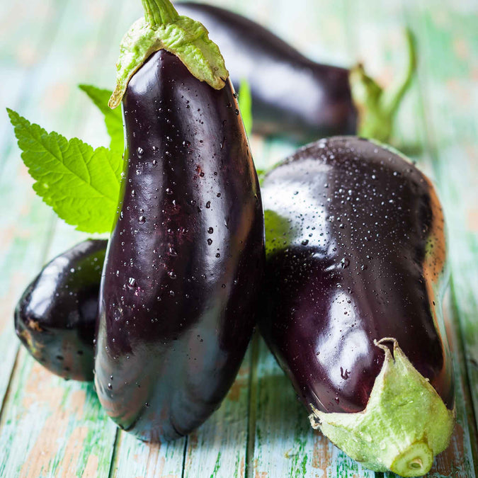 Black Beauty Eggplant