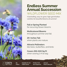 A visual overview of the wildflower seed mix, showcasing expected floral blooms.