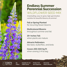 A visual overview of the wildflower seed mix, showcasing expected floral blooms.