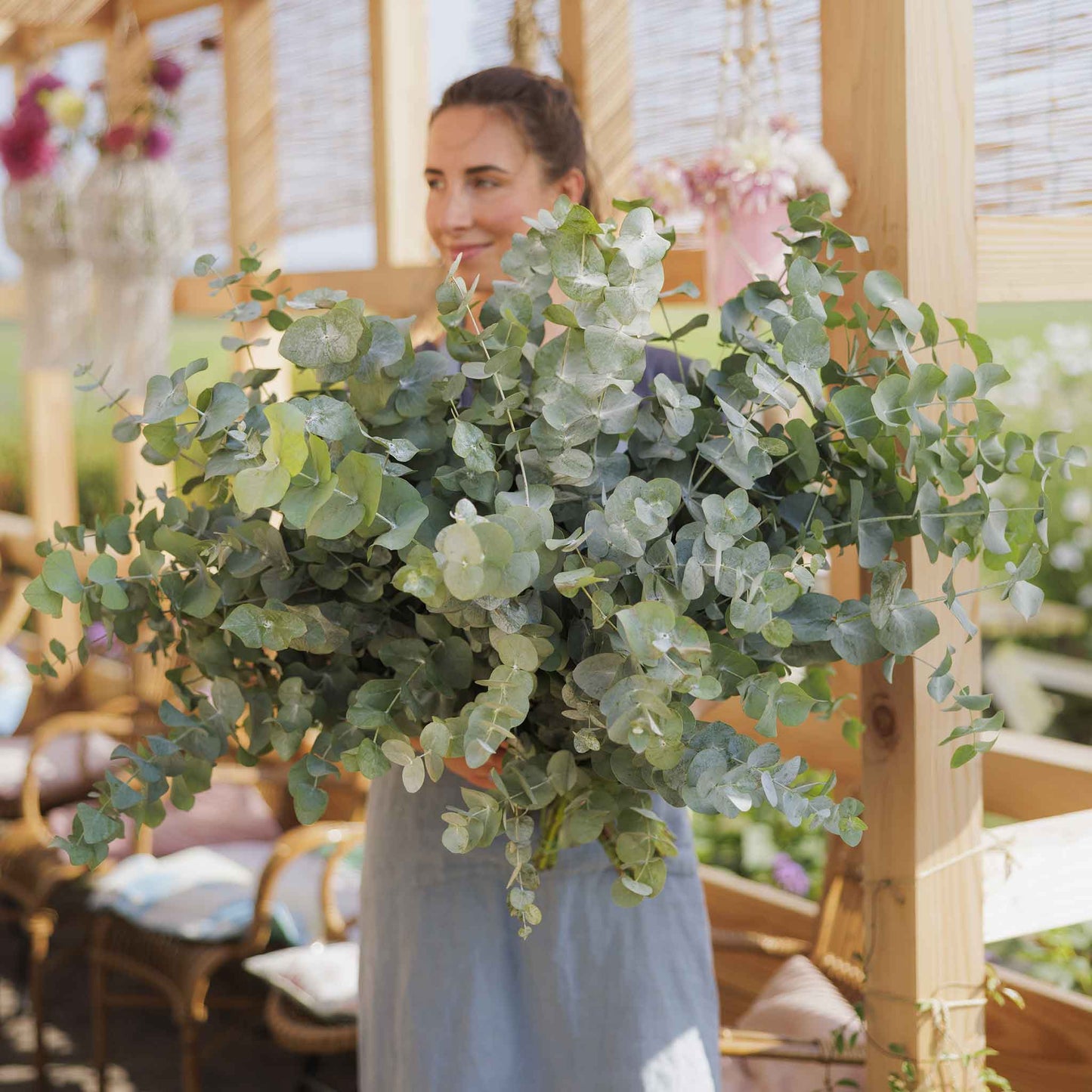 A close-up shot of several dried silver dollar eucalyptus leaves in various shades of green and brown.