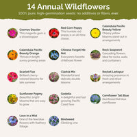 Fairytale Flower Seed Mix