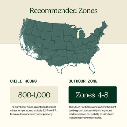 A USDA hardiness zone map of the United States with labeled patio and outdoor zones, showing a light teal map on a beige background with explanatory text blocks below.