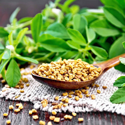 A close-up shot of small, light brown fenugreek seeds in a pile, with a few scattered around.