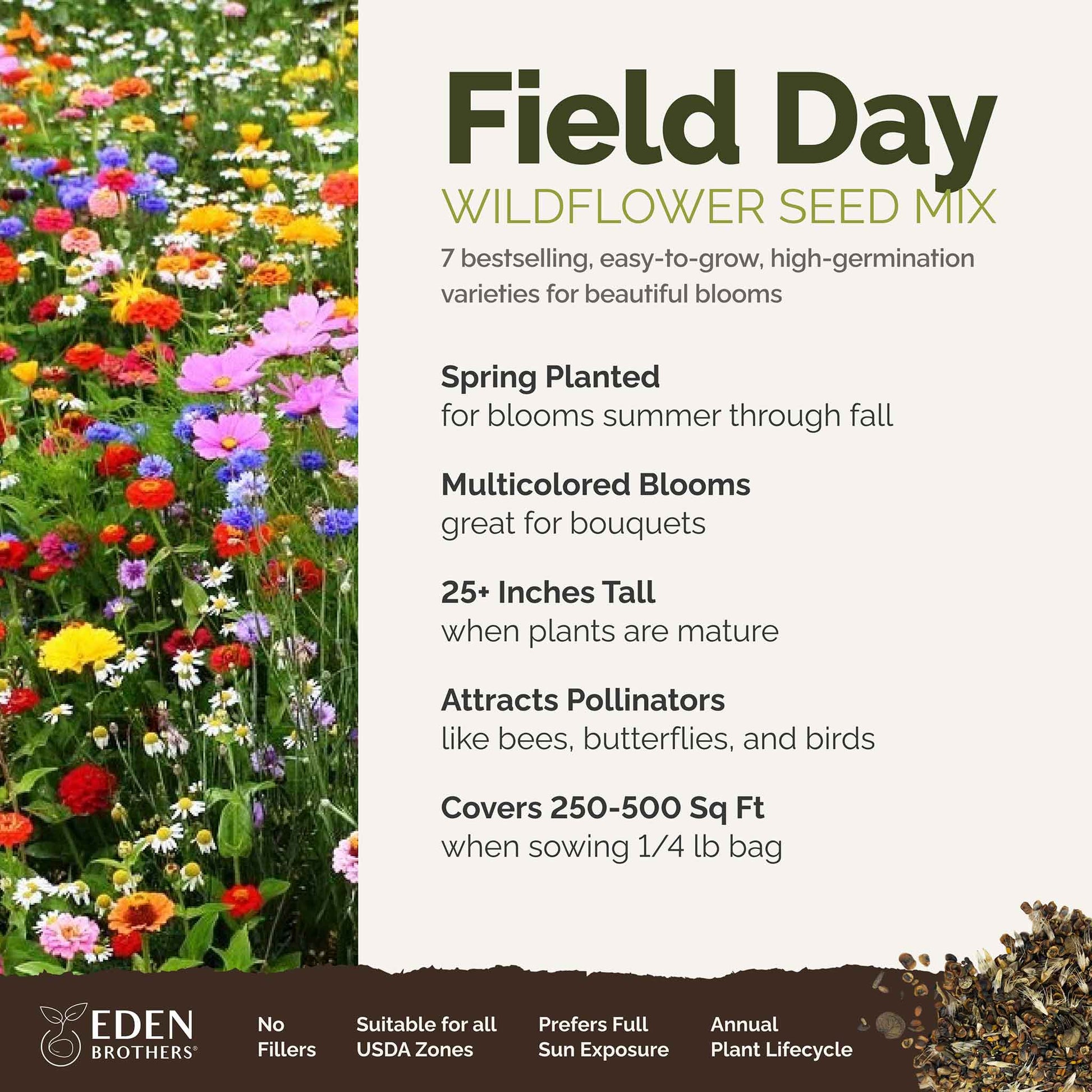 field day overview
