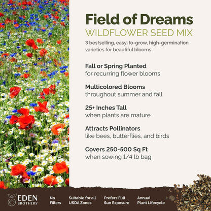 A visual overview of the wildflower seed mix, showcasing expected floral blooms.
