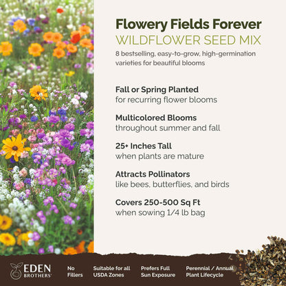 A visual overview of the wildflower seed mix, showcasing expected floral blooms.