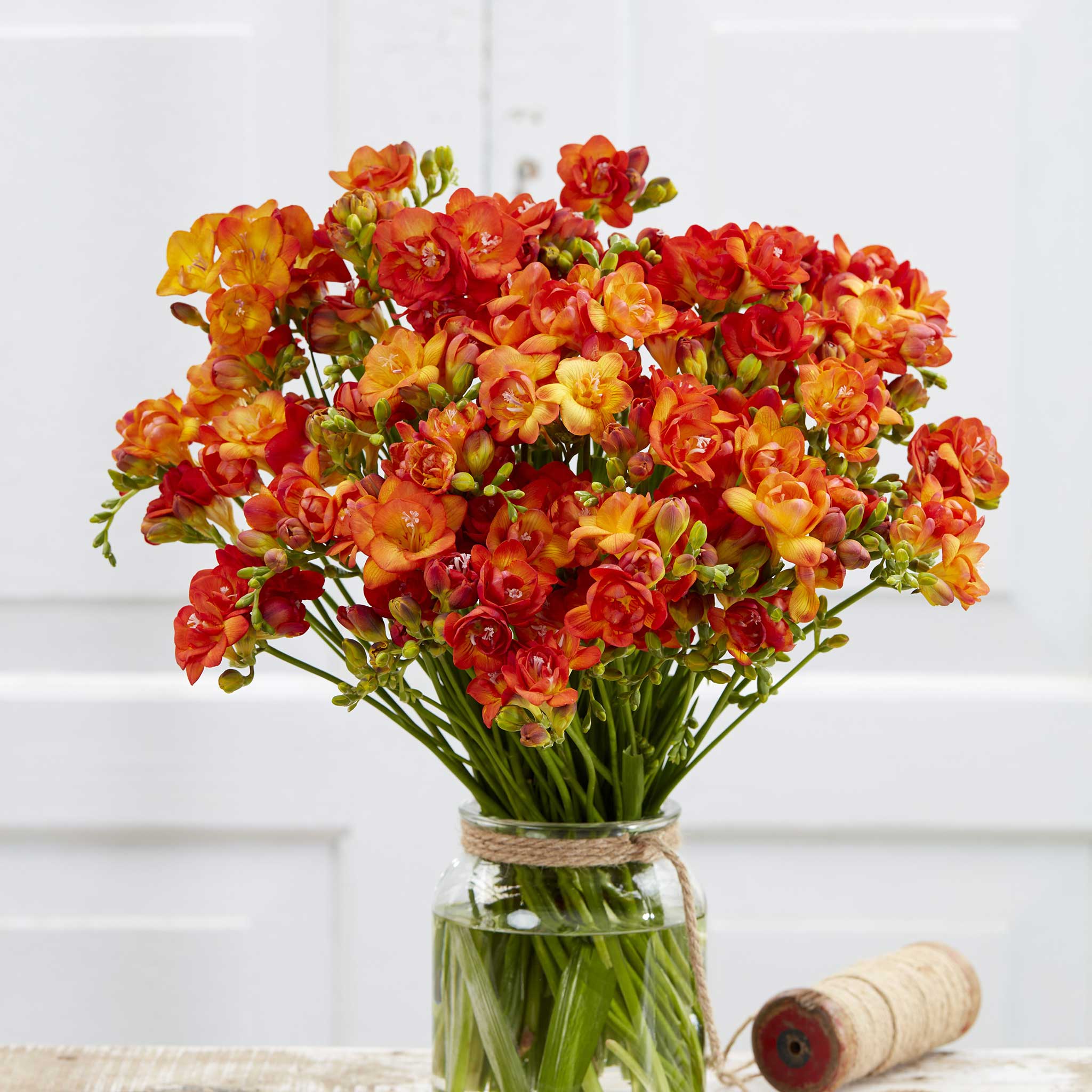 A bouquet of Double Flamingo Orange freesia flowers in a glass vase