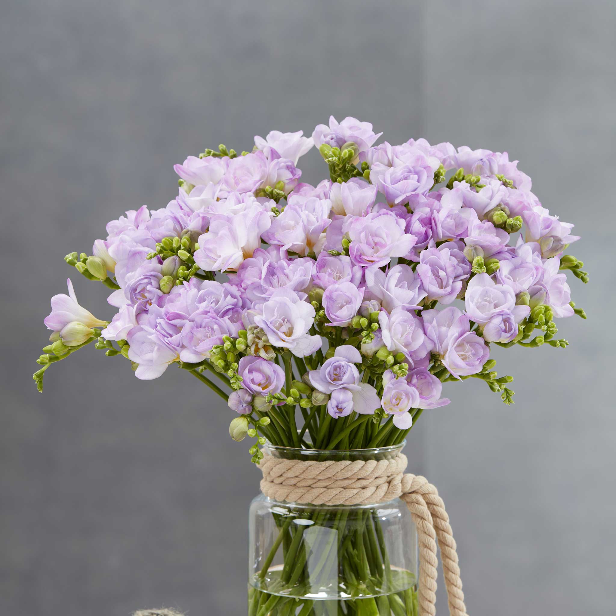 A bouquet of Double Lavender freesia flowers in a glass vase