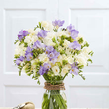 Bouquet of Freesia double lavender and white bundle in a glass vase.