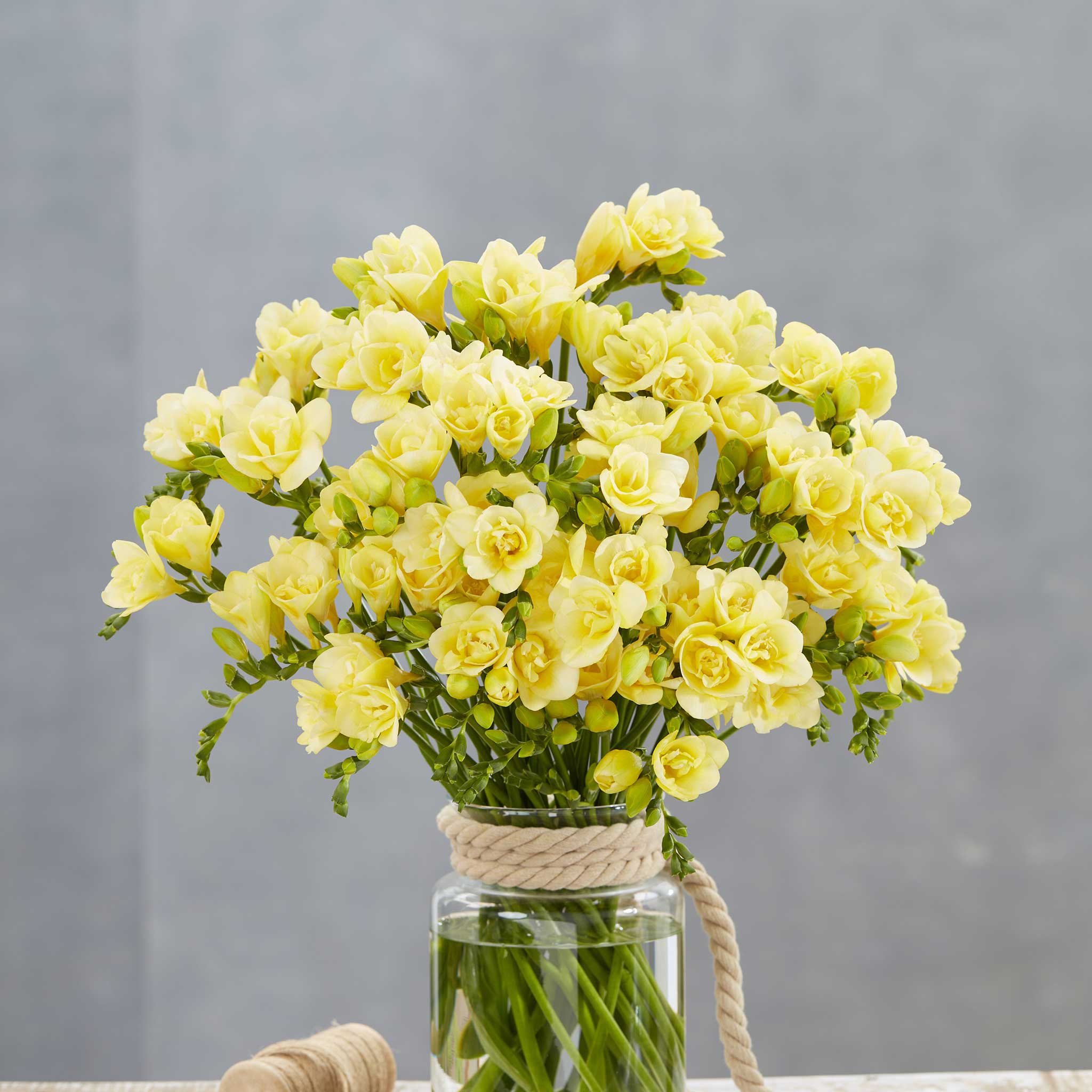 A bouquet of Double Lemon freesia flowers in a glass vase