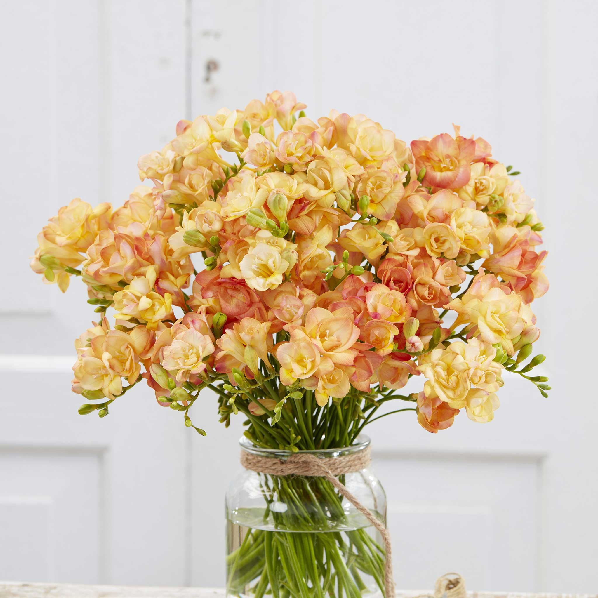 A bouquet of Double Peach Apricot freesia flowers in a glass vase