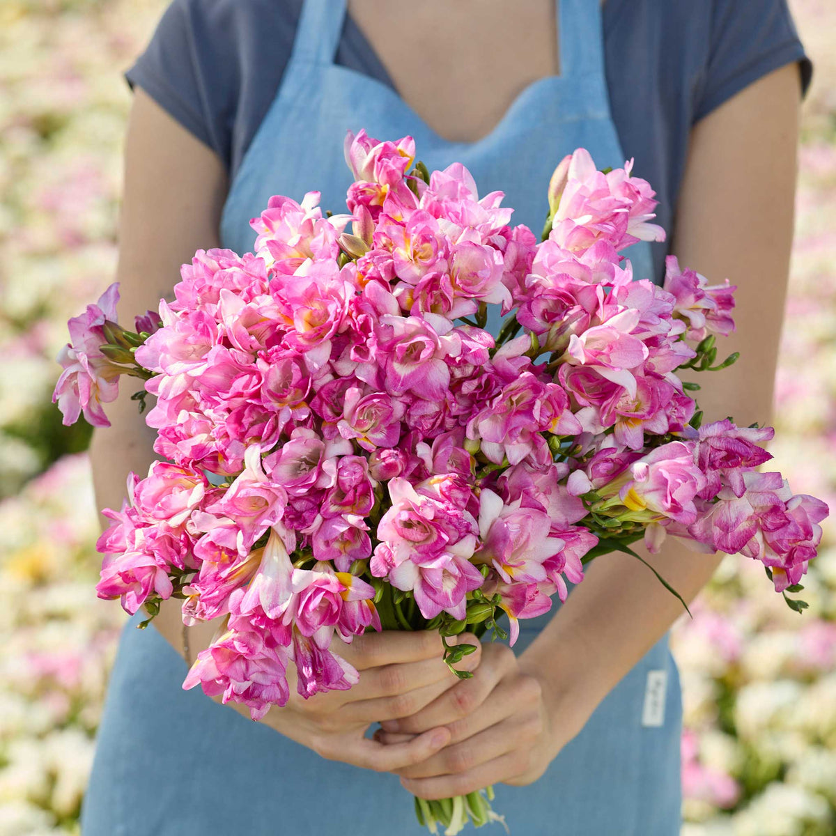 Person holding a pink bouquet of freesia honeymoon in a garden setting