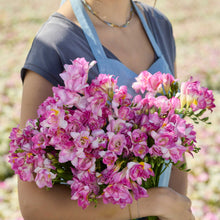 Person holding a pink bouquet of freesia honeymoon in a garden setting