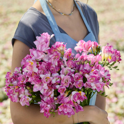 Person holding a pink bouquet of freesia honeymoon in a garden setting