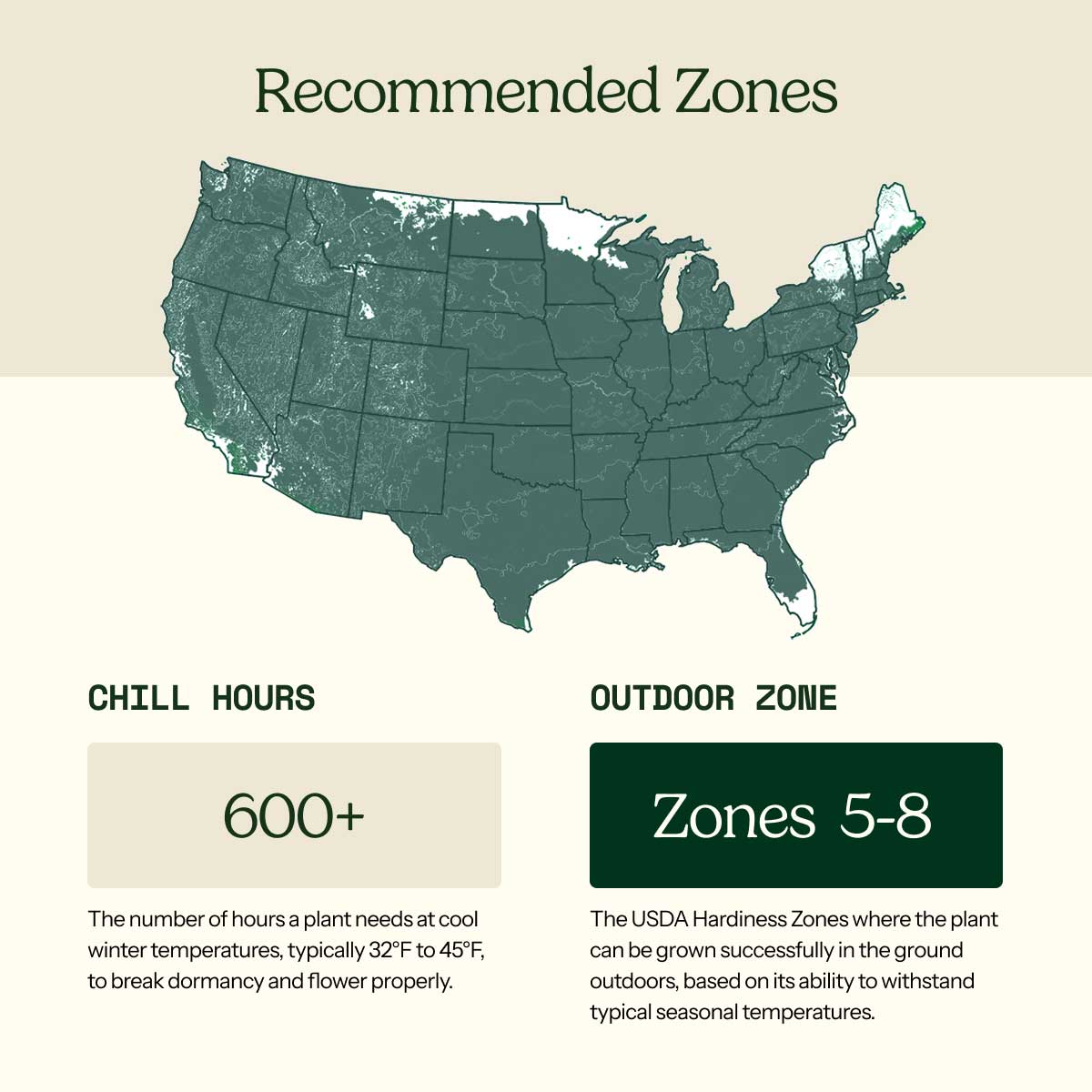 A USDA hardiness zone map of the United States with labeled patio and outdoor zones, showing a light teal map on a beige background with explanatory text blocks below.