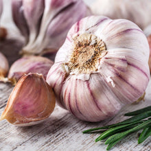Garlic chesnok red bulbs with purplish white skin