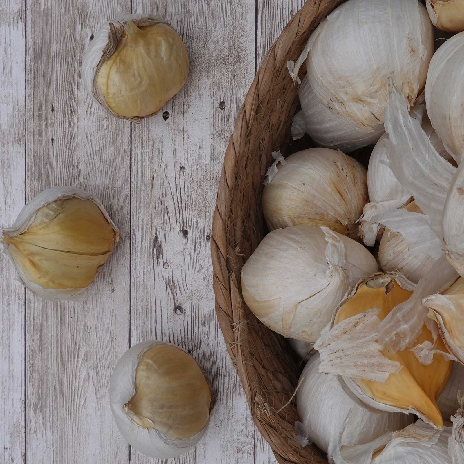 Garlic elephant bulbs in a basket on a wooden table.