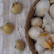 Garlic elephant bulbs in a basket on a wooden table.