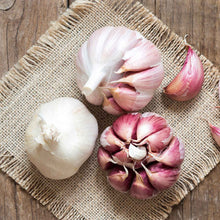 Garlic nootka rose bulbs showing white skin, reddish cloves on a burlap square and wood table.
