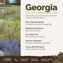 A visual overview of the wildflower seed mix, showcasing expected floral blooms.