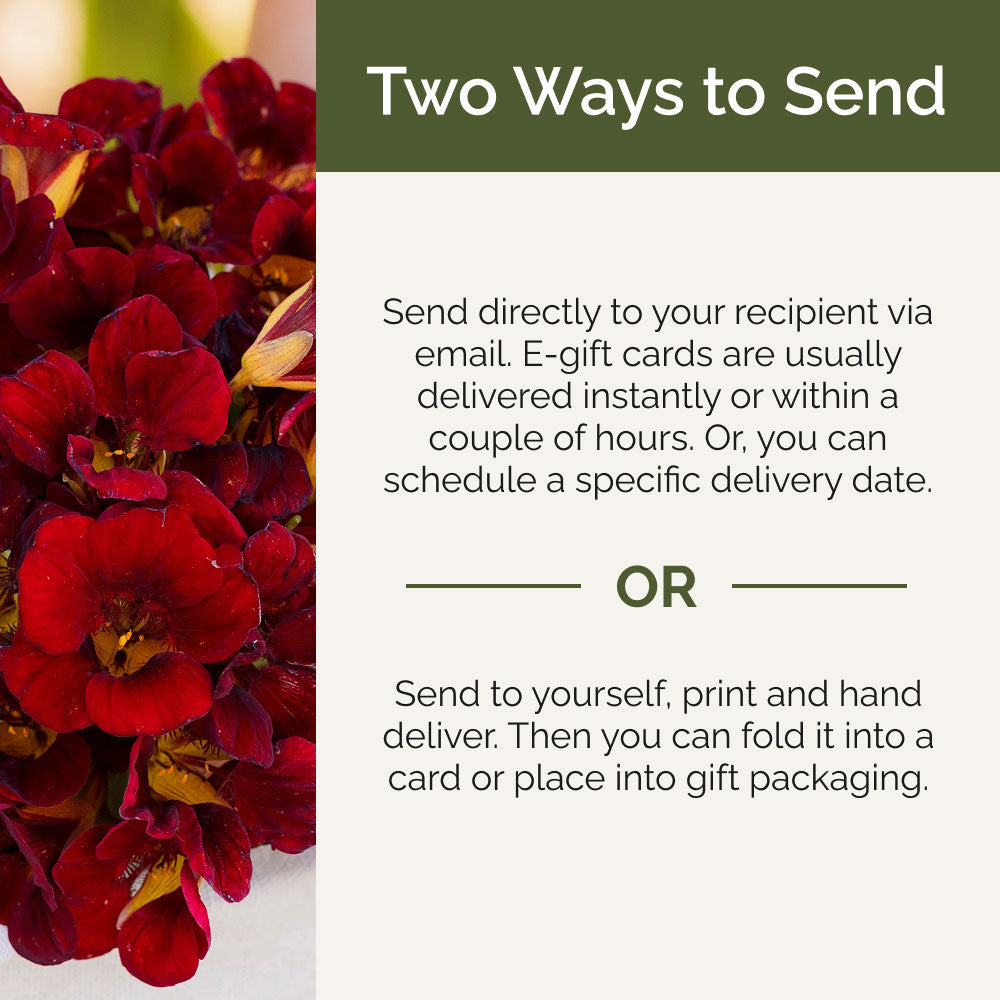 Bouquet of red flowers with text about two ways to send a gift