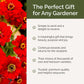 Red flowers with text about a perfect gift for gardeners on a green and white background